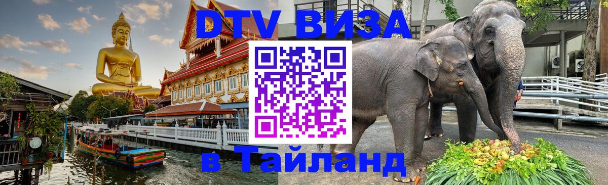 DTV Visa Тайланд купить 